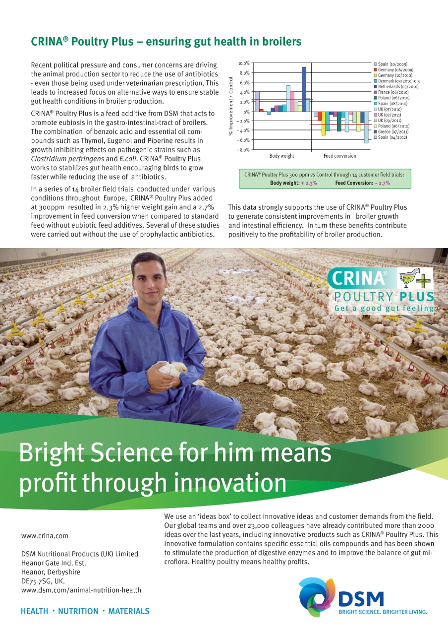 CRINA® Poultry Plus – ensuring gut health in broilers