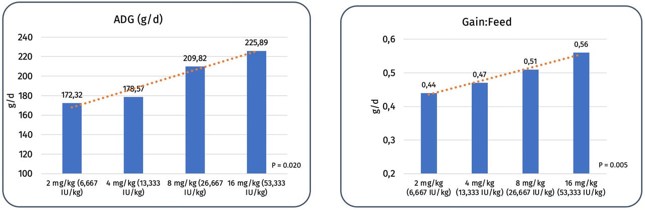 Figure 3. Average daily gain (g) and Gain:Feed in weaned piglets from 8 to 14 days post-weaning of age, fed diets with different levels of vitamin A (Source: Wang et al., 2020)