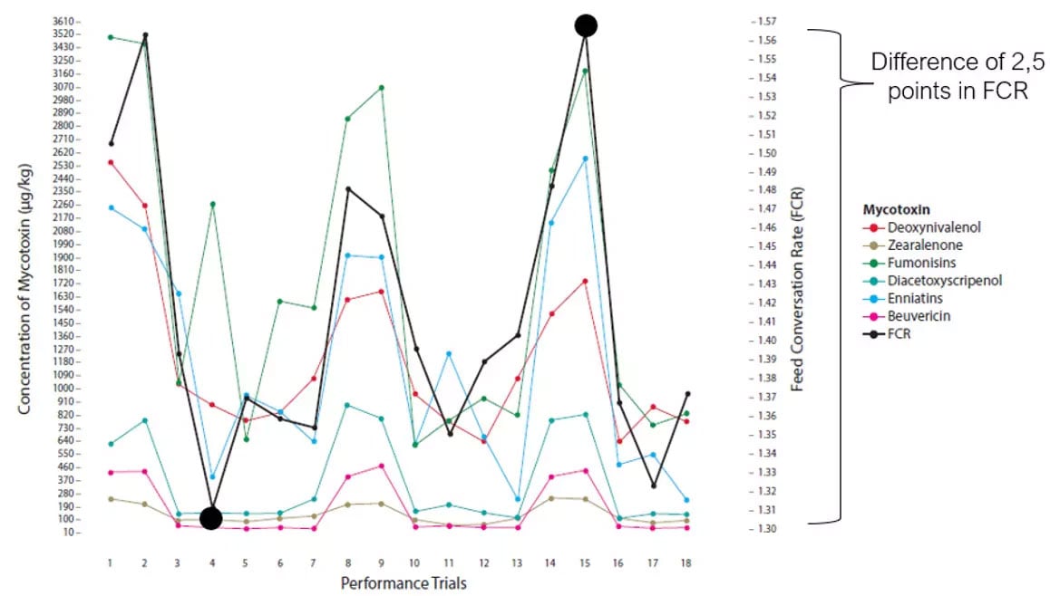 Figure 5. The difference between FCR (black line) in high and low contaminations of mycotoxins (colored lines) in broilers (Adapted from Kolawole et al., 2020).