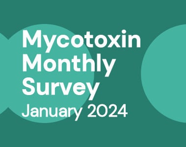 Mycotoxin Survey Monthly Update: January 2024