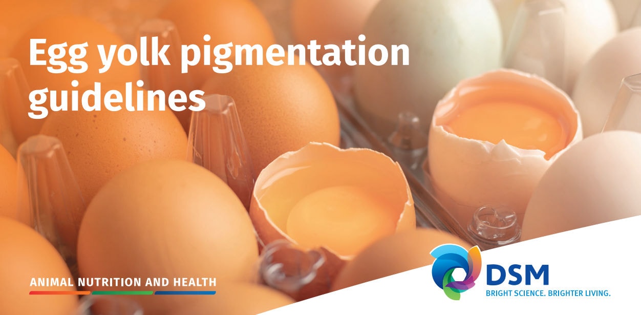 dsm-firmenich Egg Yolk Pigmentation Guidelines PDF