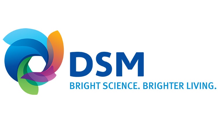 DSM marks its transformation with new brand