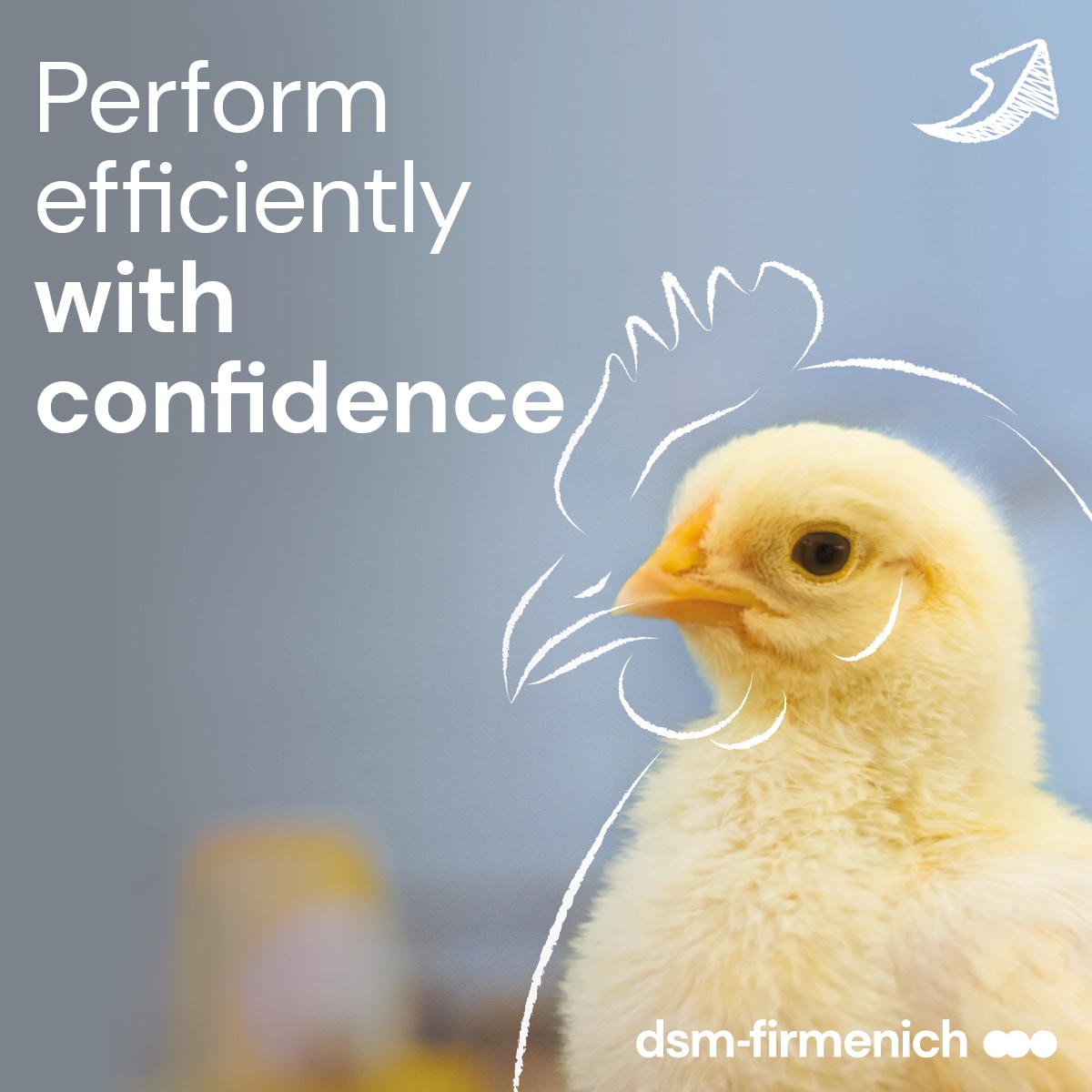 Perform efficiently with confidence