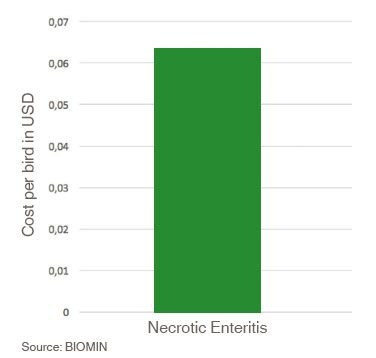 Figure-1.-Necrotic-enteritis-costs-producers