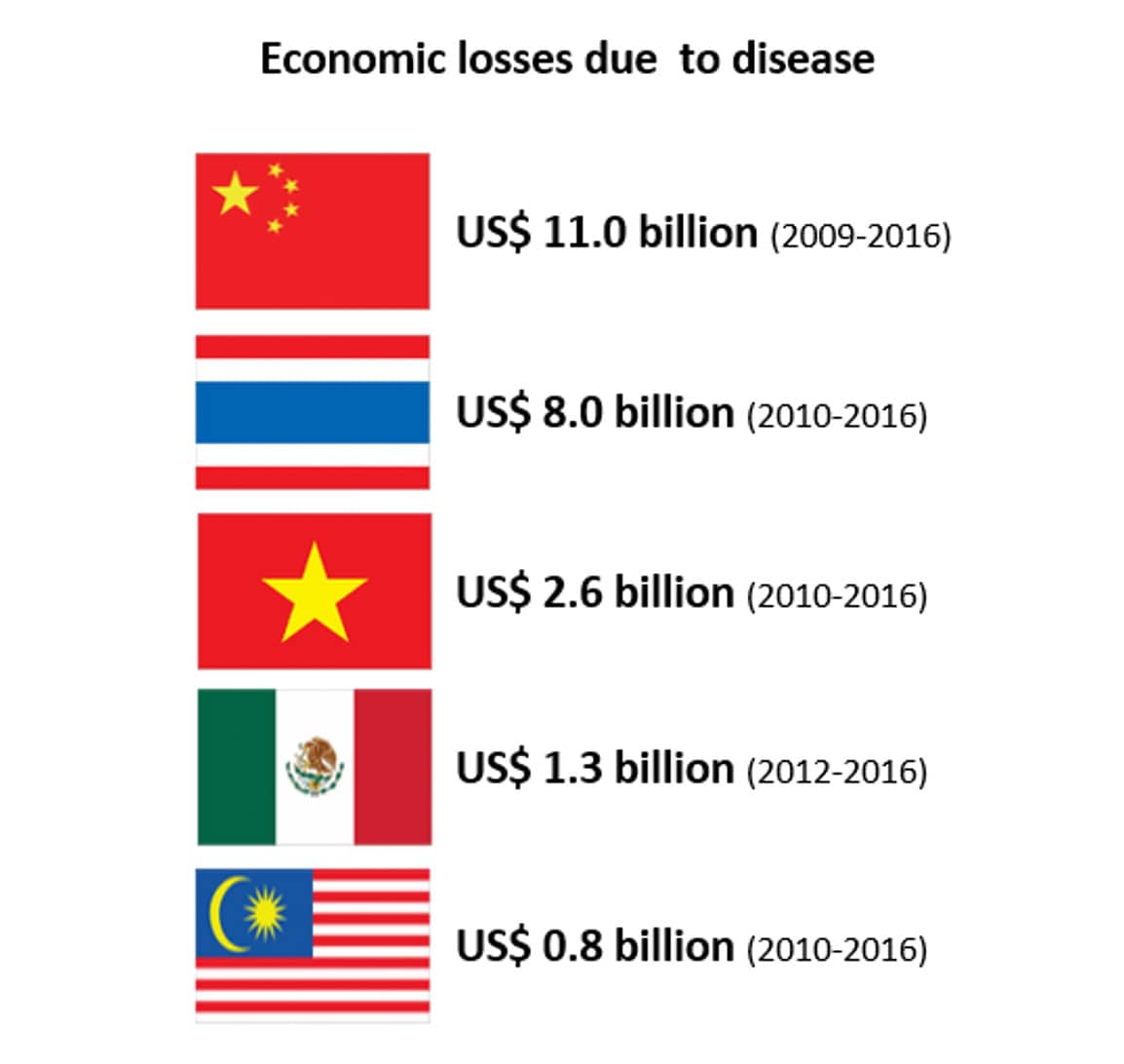 Figure 1: Estimated economic losses due to shrimp disease in key producing countries. SOURCE: Shinn et al. 2018