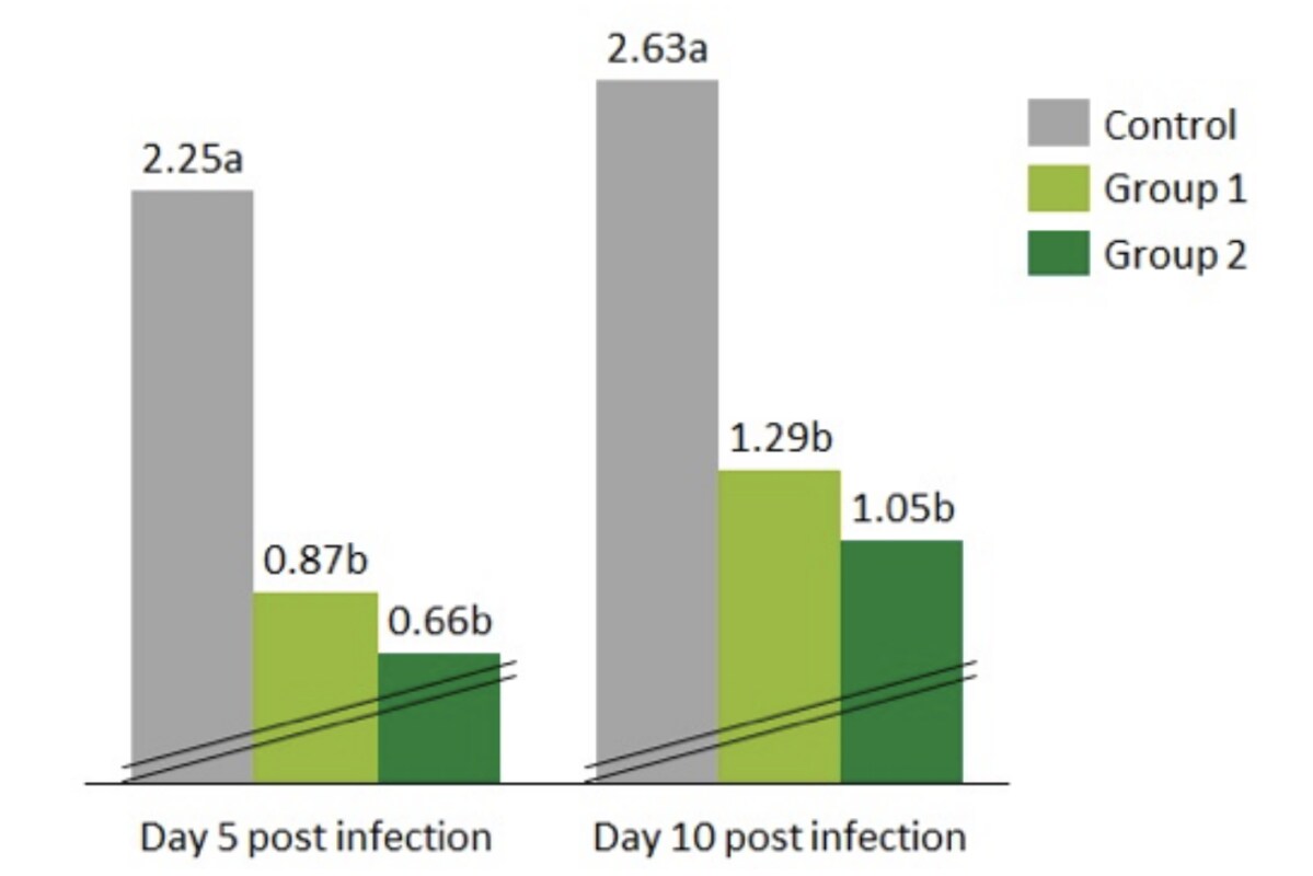 Figure 8. Bacterial counts (logCFU/g) of cecum microbiota in broilers at age 42. 