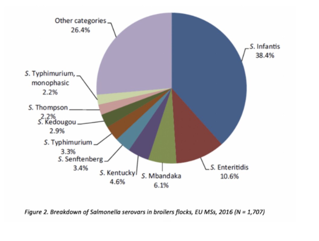 Figure 1. Breakdown of Salmonella serovars in broilers flocks, EU MSs, 2016 (N = 1,707) | Source: EFSA 2016
