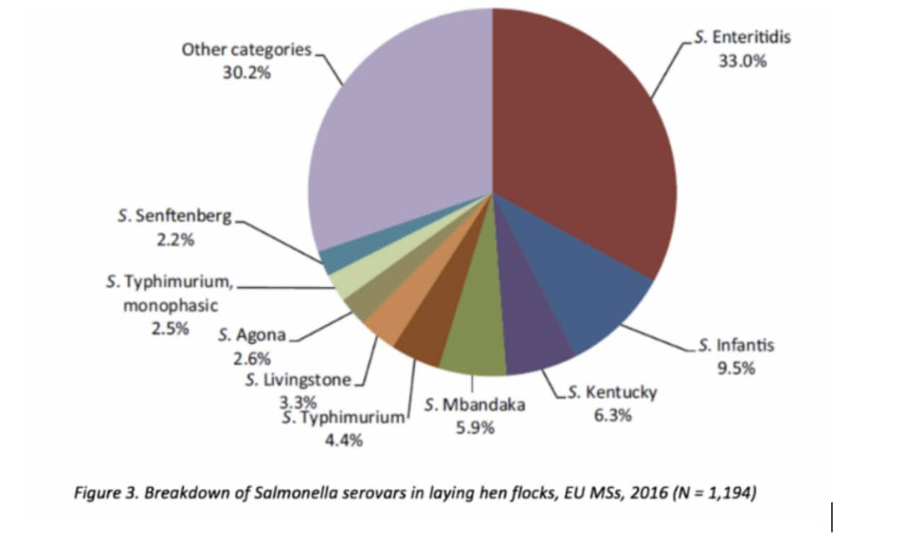 Figure 2. Breakdown of Salmonella serovars in laying hen flocks, EU MSs, 2016 (N = 1,194) | Source: EFSA 2016