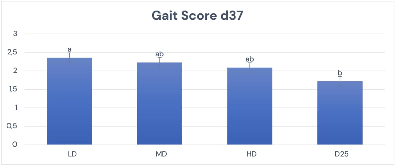 Figure 2. Partial supplementation of D3 with 25-OH-D3 numerically reduced gait score indicating better ability to walk. (Adapted from Sakkas et al., 2019).
