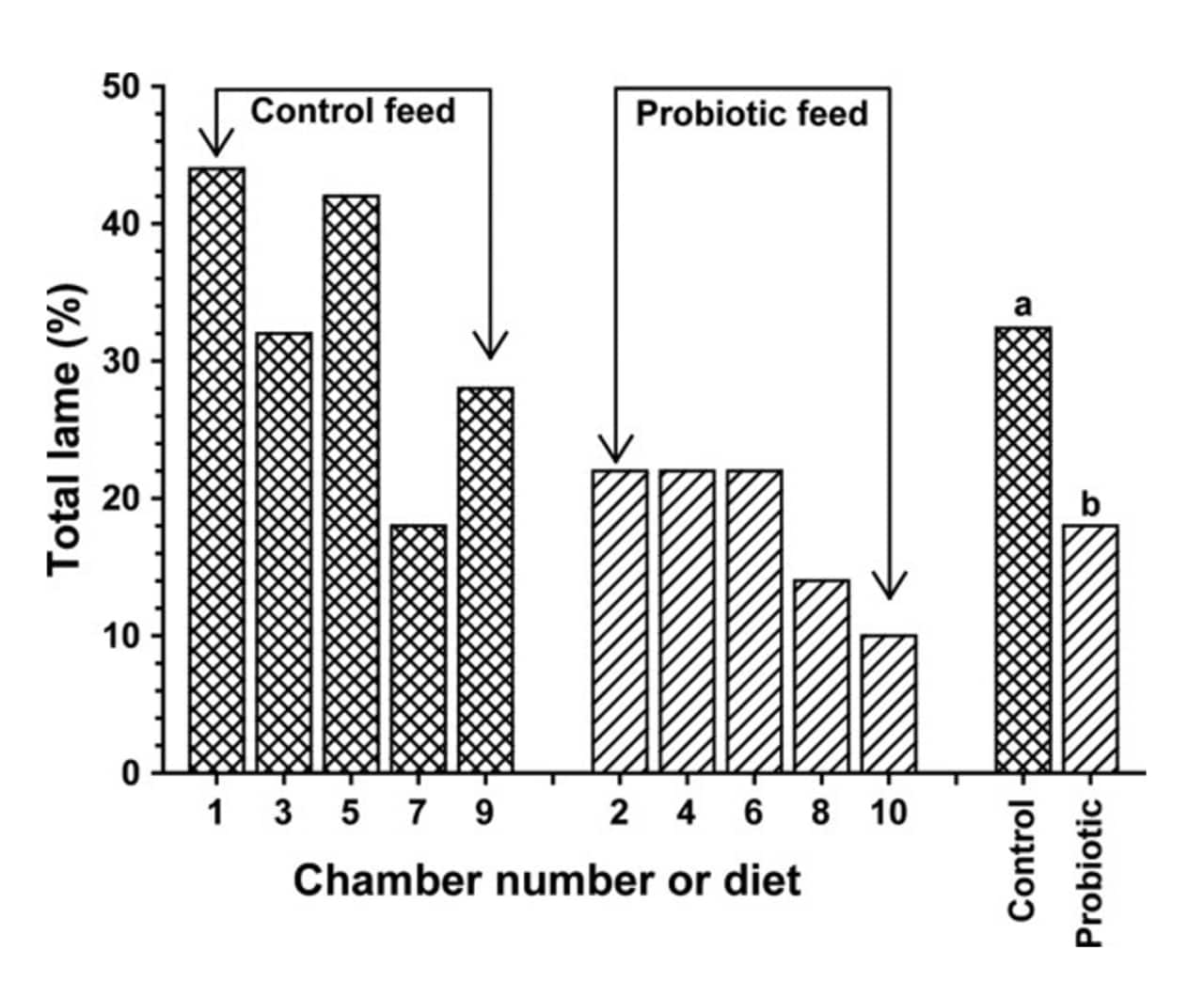 Figure 3. Male broilers reared on wire flooring in environmental chambers and fed either a control diet or the control diet with a synbiotic. 