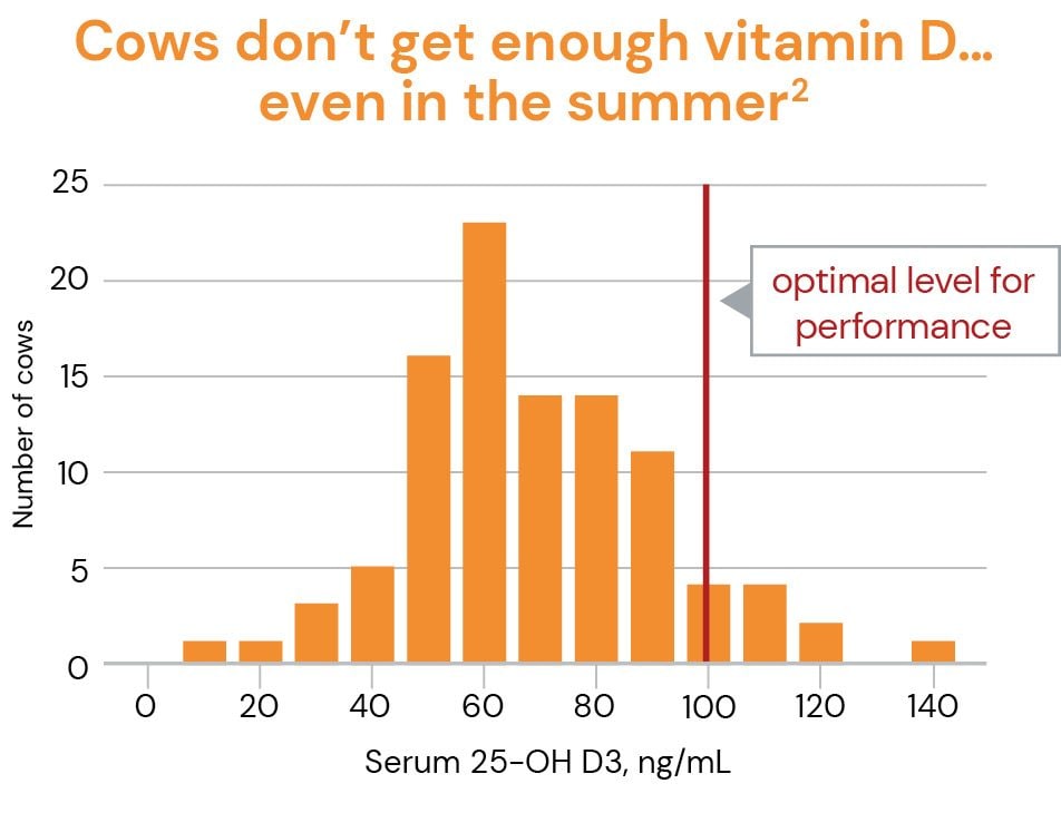 Cows don't get enough vitamin D