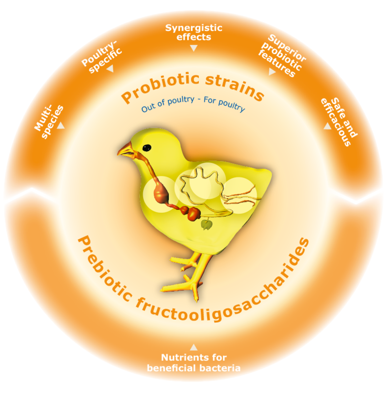 OutOfPoultry-ForPoultry_US