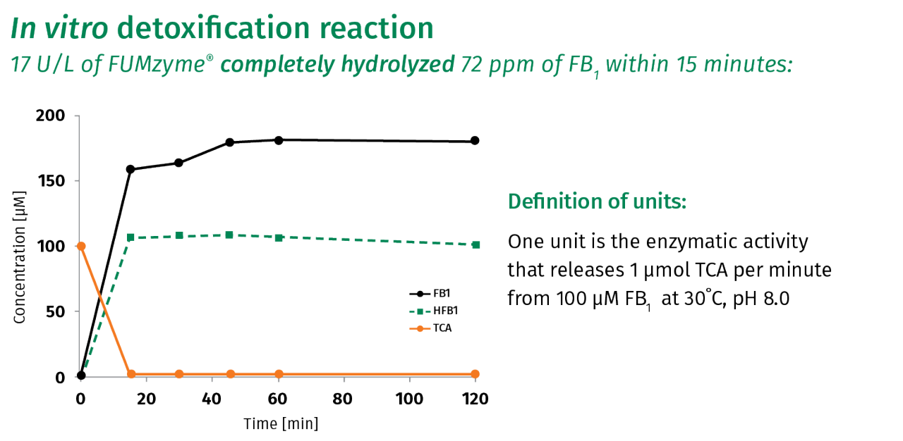 Biotransformation-of-fumonisins