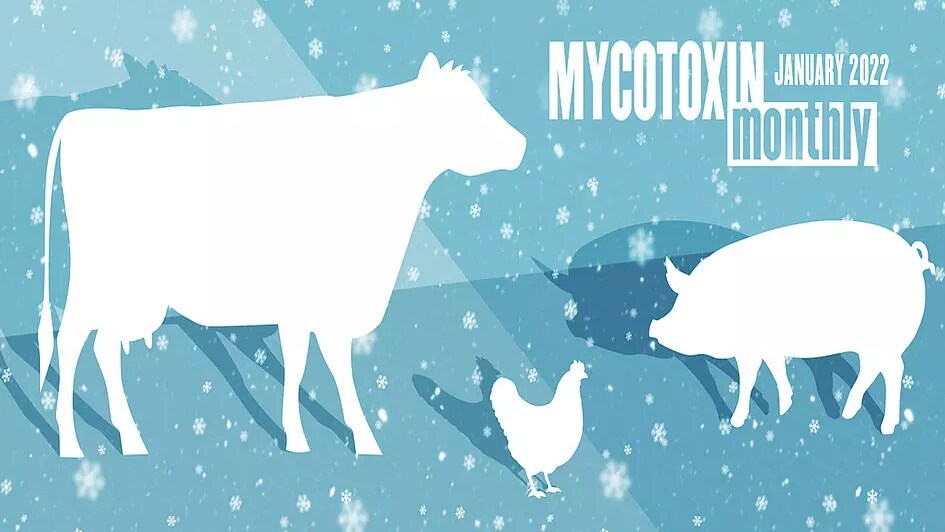 Mycotoxin-April2021