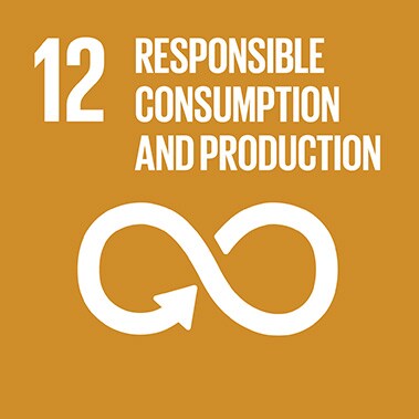 SDG 12