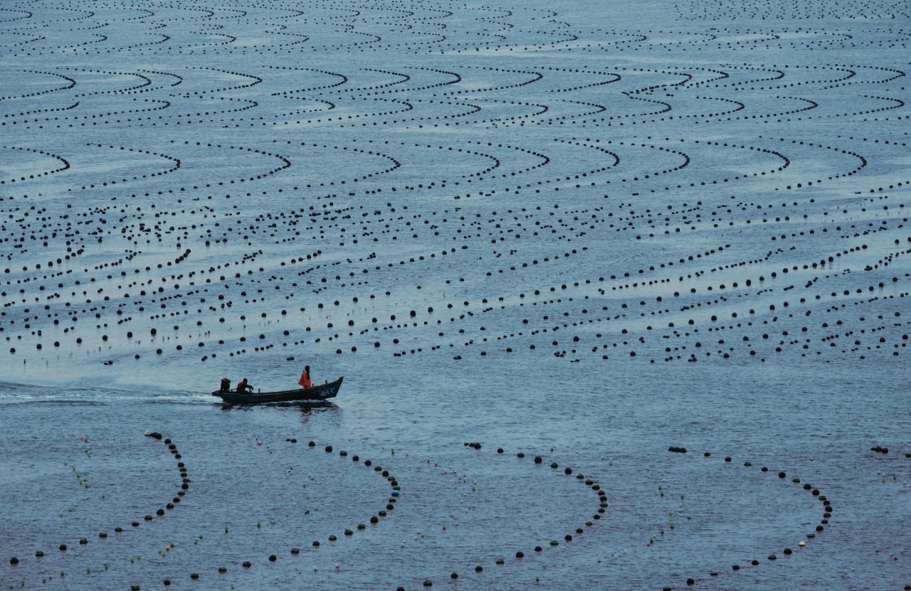 Aquaculture