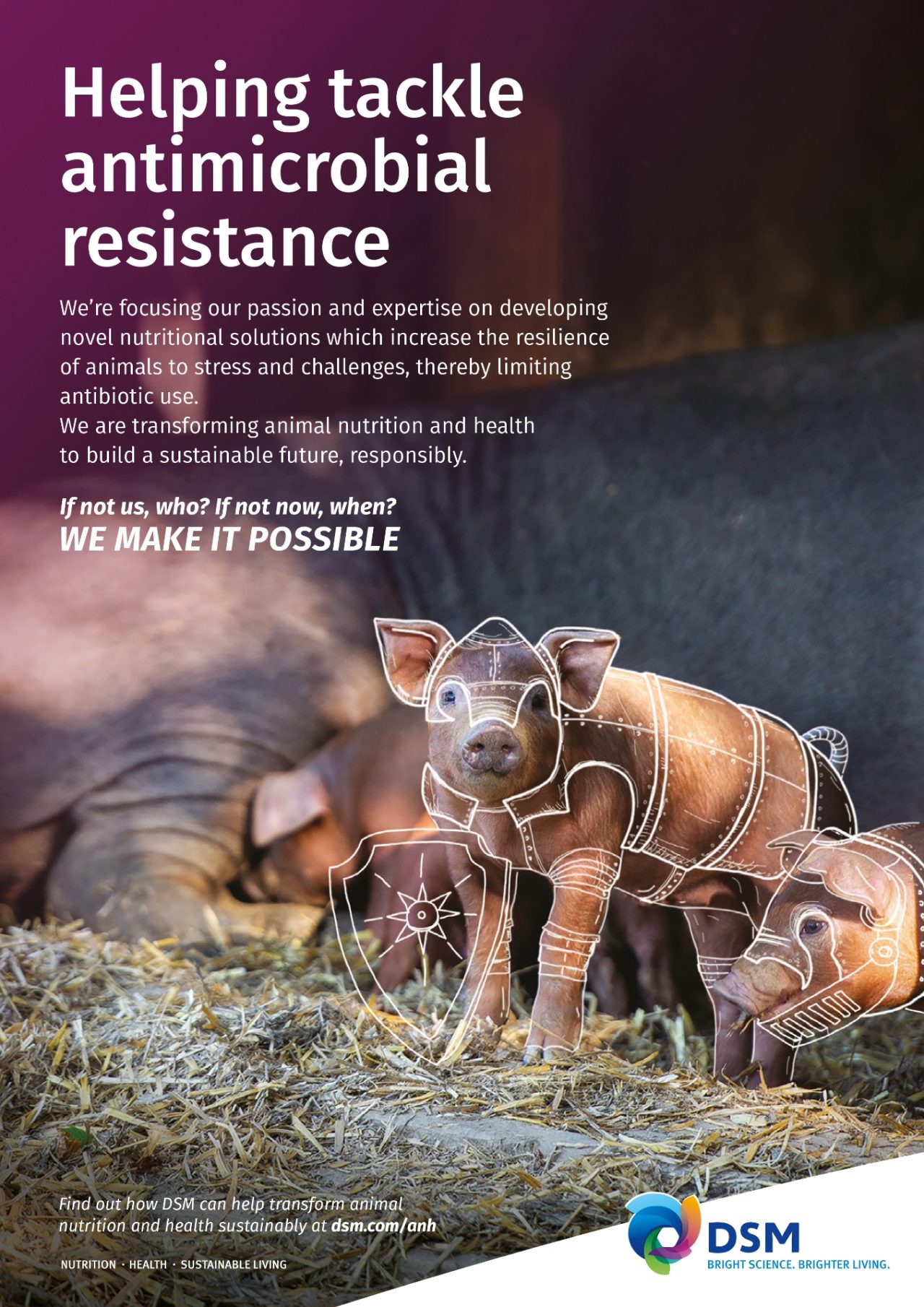 Helping tackle antimicrobial resistance-Swine