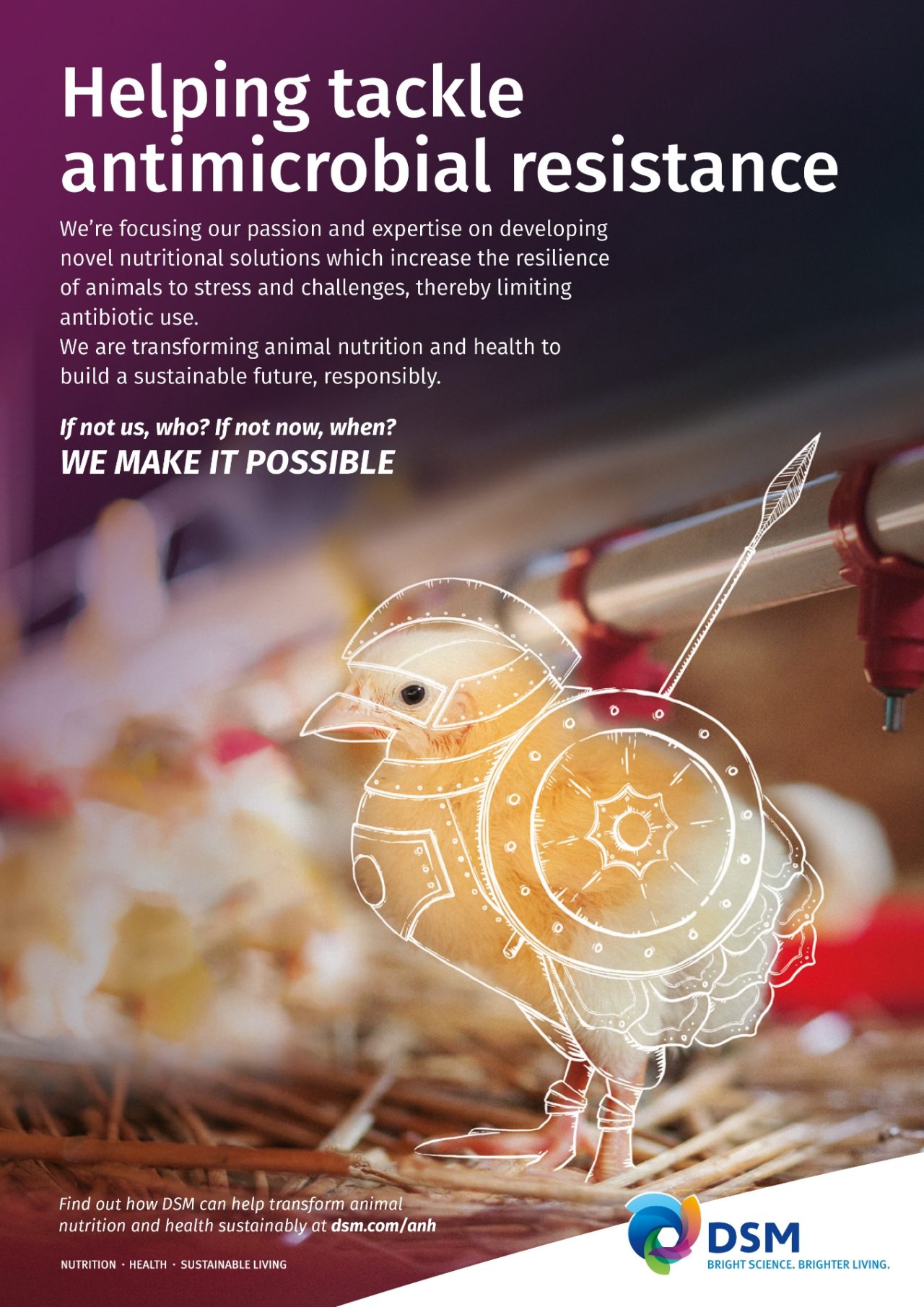 Helping tackle antimicrobial resistance-Chick