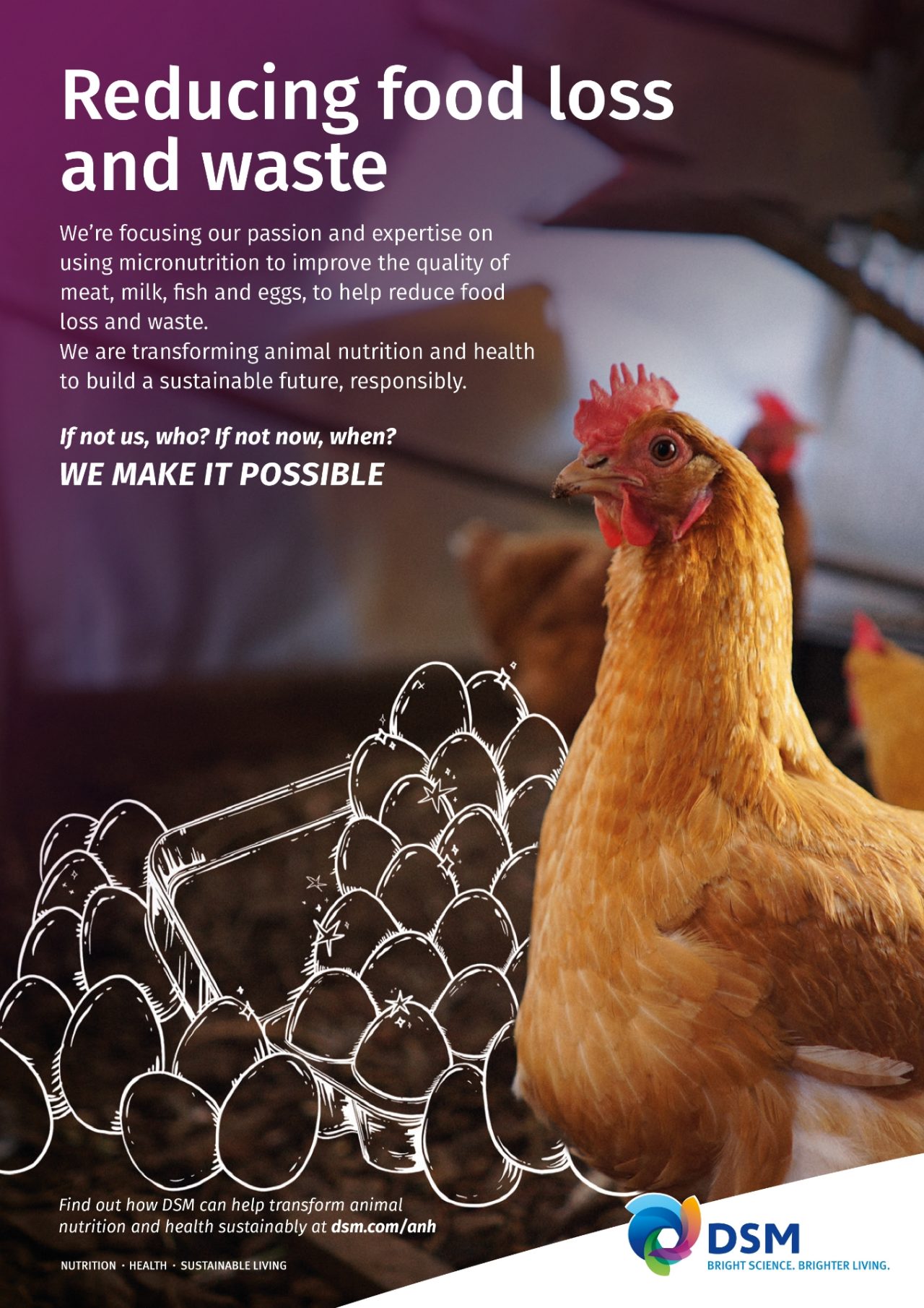 Reducing food loss and waste