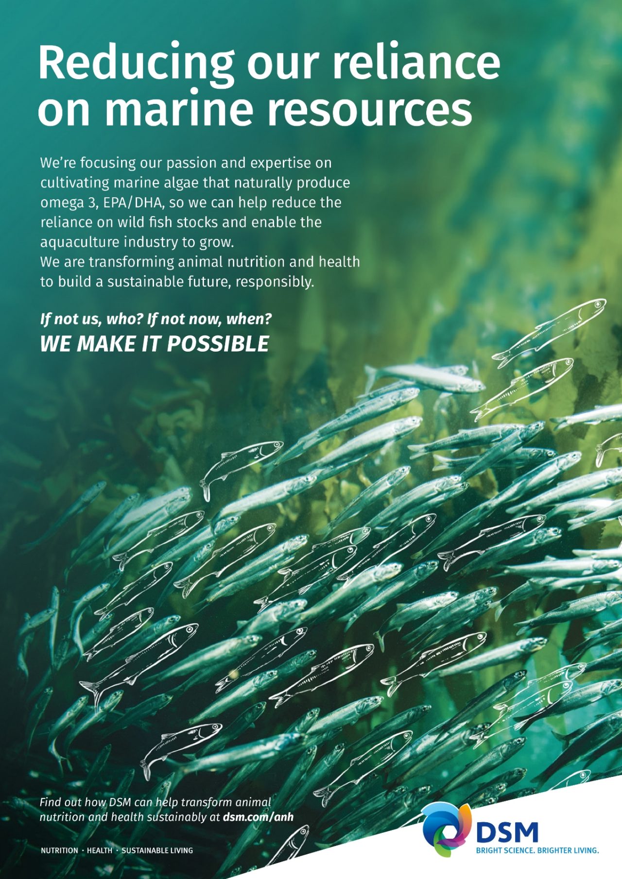 Reducing our reliance on marine resources