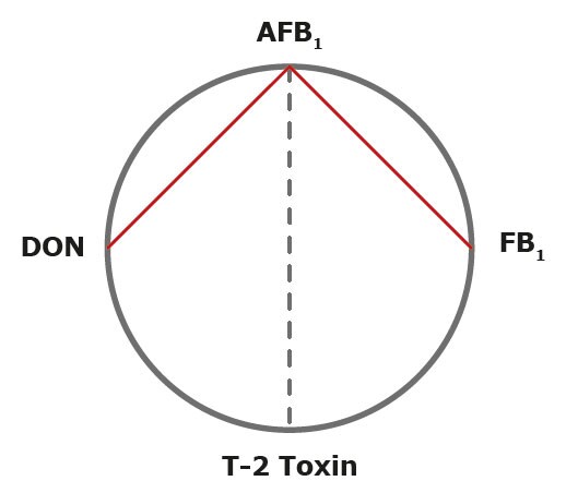 Synergistic-interaction-between-mycotoxins-in-aquatic-species