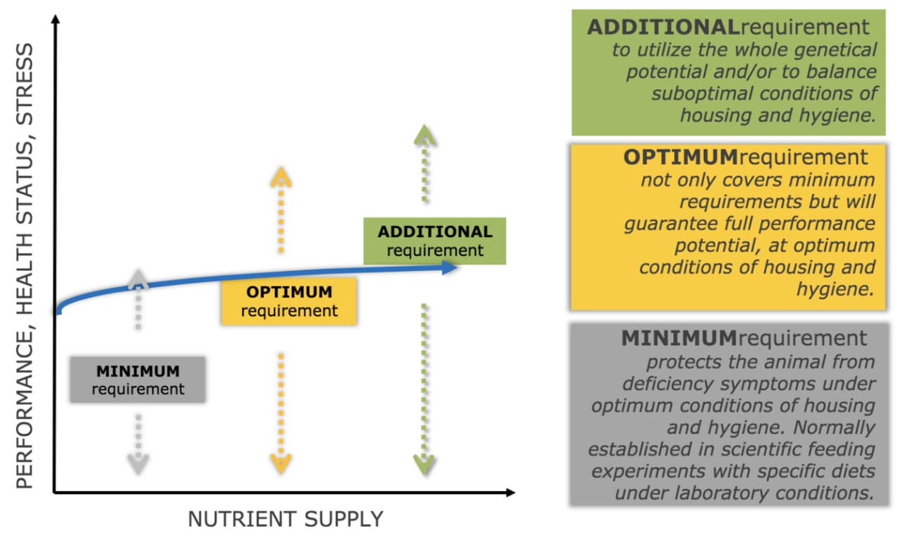 Figura 4. Los requisitos de vitaminas y minerales dependen de las condiciones y los objetivos