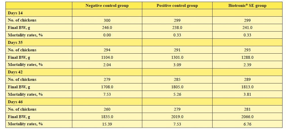 Effect-of-Biotronic-SE-on-body-weight-and-mortality-rate-in-broilers