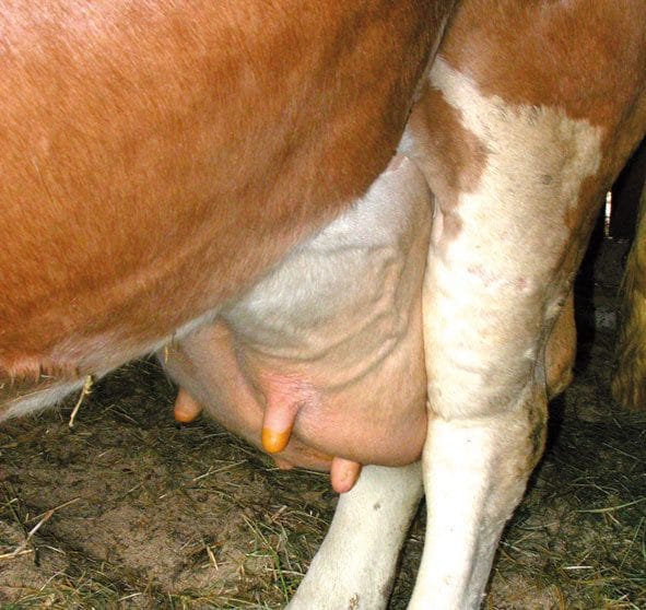 Costos para los productores de leche