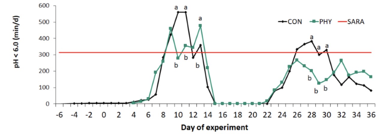 Experimento de acidosis ruminal