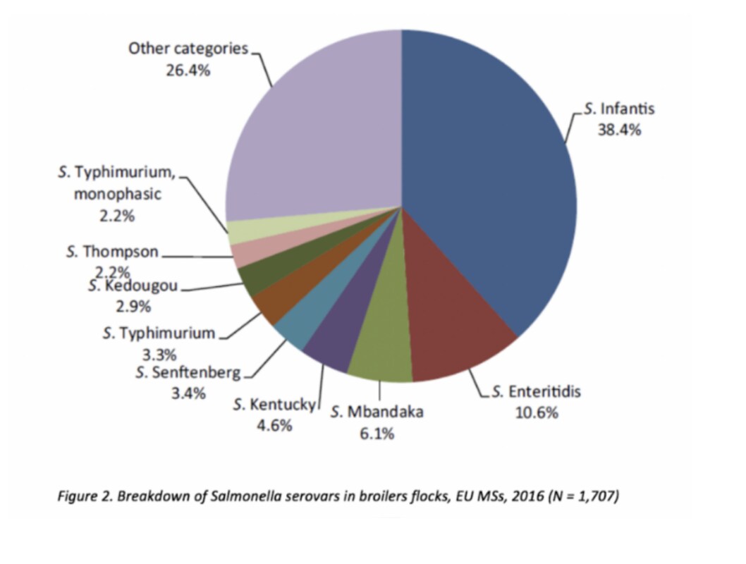 Figura 1. Desglose de las serovariedades de Salmonella en parvadas de pollos de engorde, Estados Miembros de la UE, 2016 (N = 1707) | Fuente: EFSA 2016