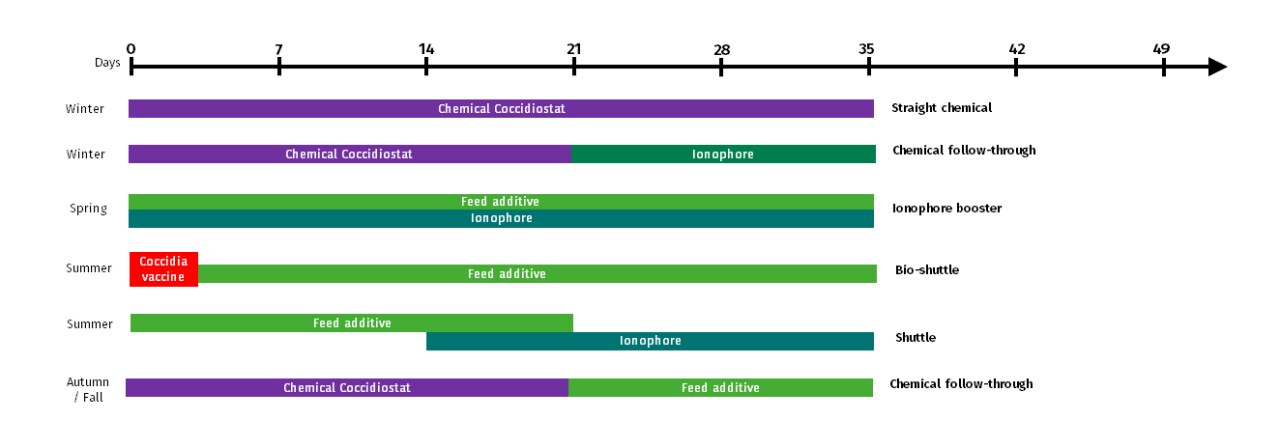 feedtalk-figura1-graphic