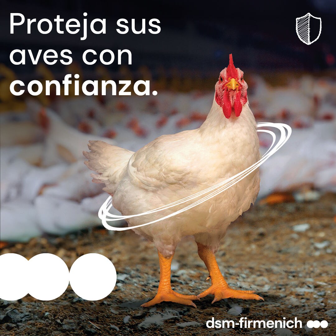 Protect your flock with confidence