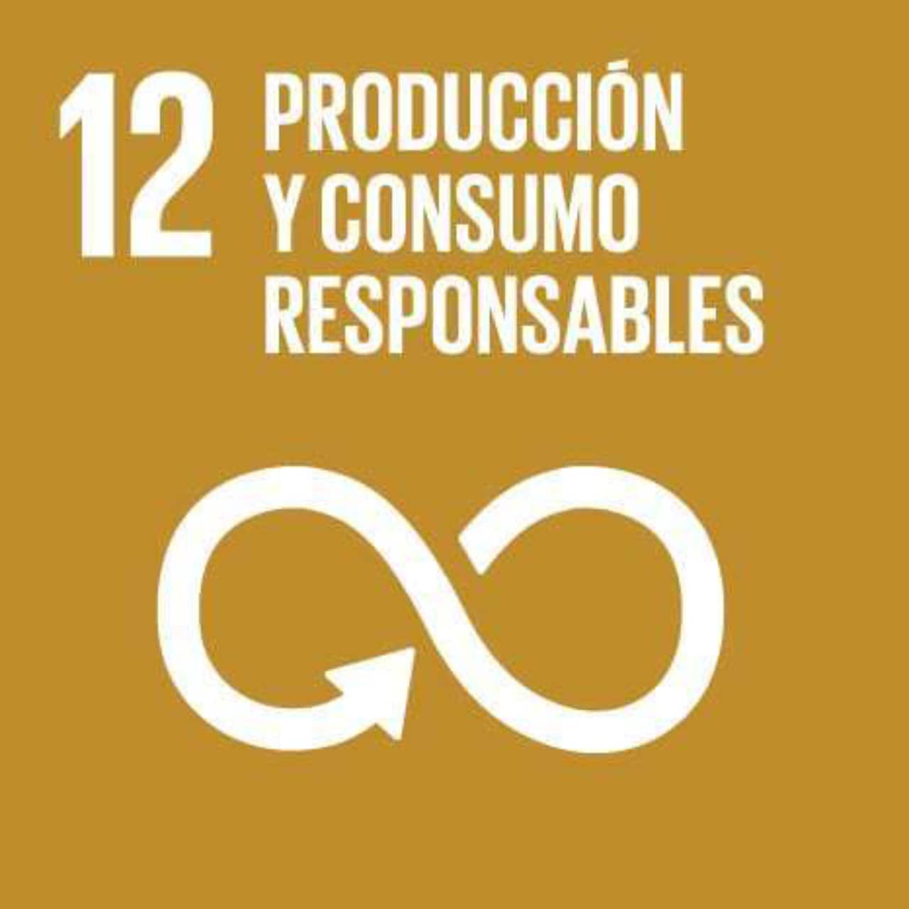Imagen que representa el ODS número Doce - Producción y Consumo Responsables, con un fondo marrón claro y el símbolo del infinito.