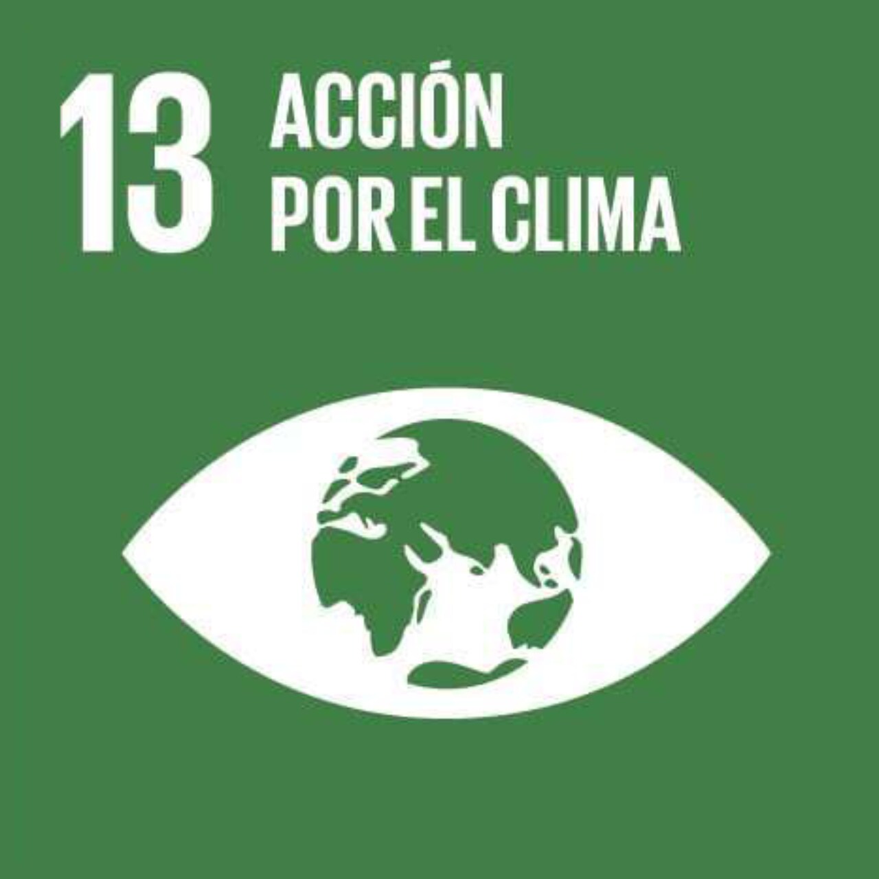 Imagen que representa el ODS número Trece - Acción contra el cambio climático global, con un fondo verde y el icono de un ojo con el globo terráqueo en el centro.
