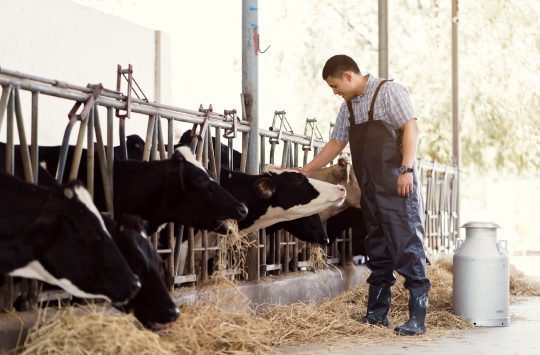 DSM Animal Nutrition & Health