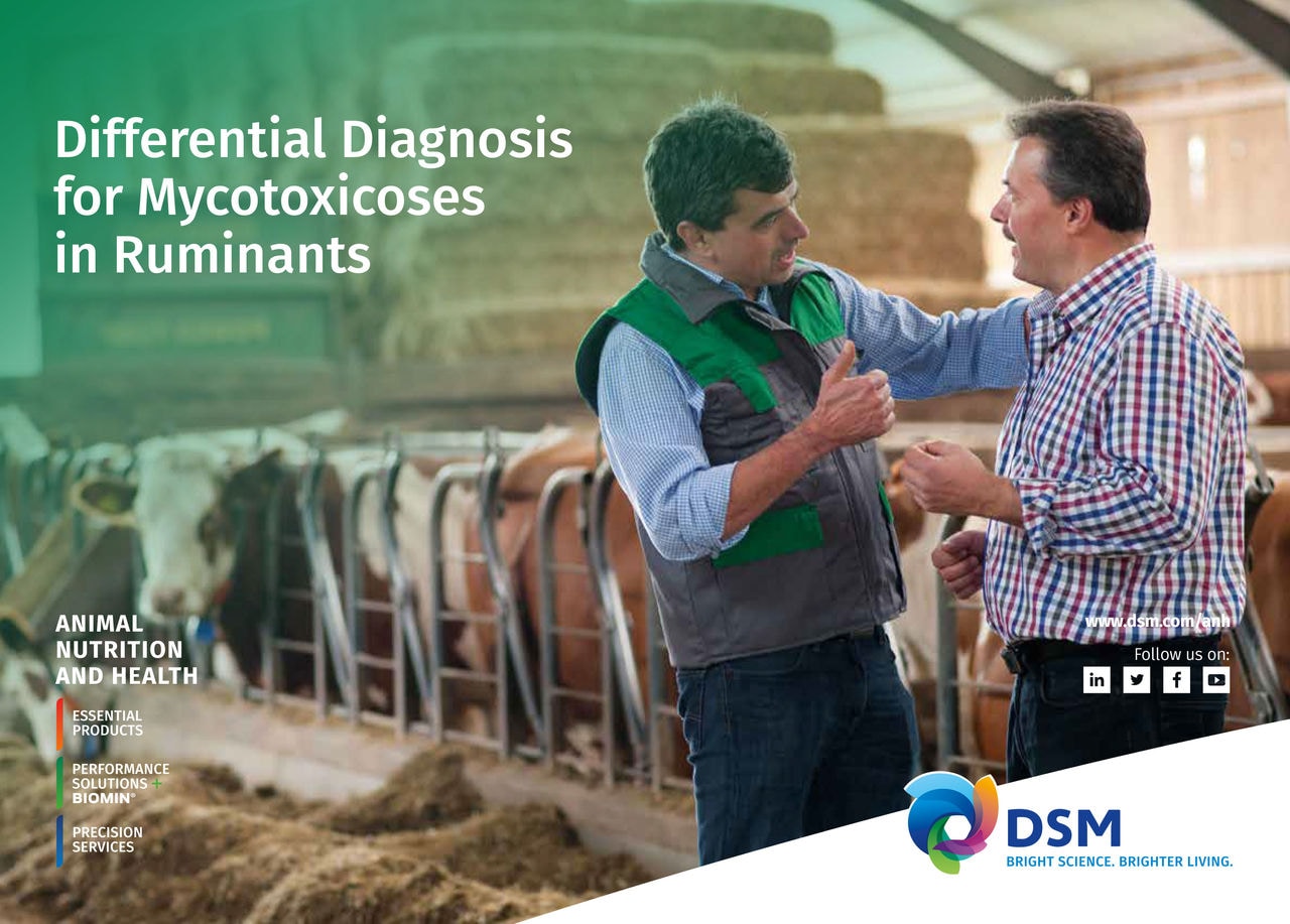 Differential Diagnosis for Mycotoxicoses in Ruminants PDF