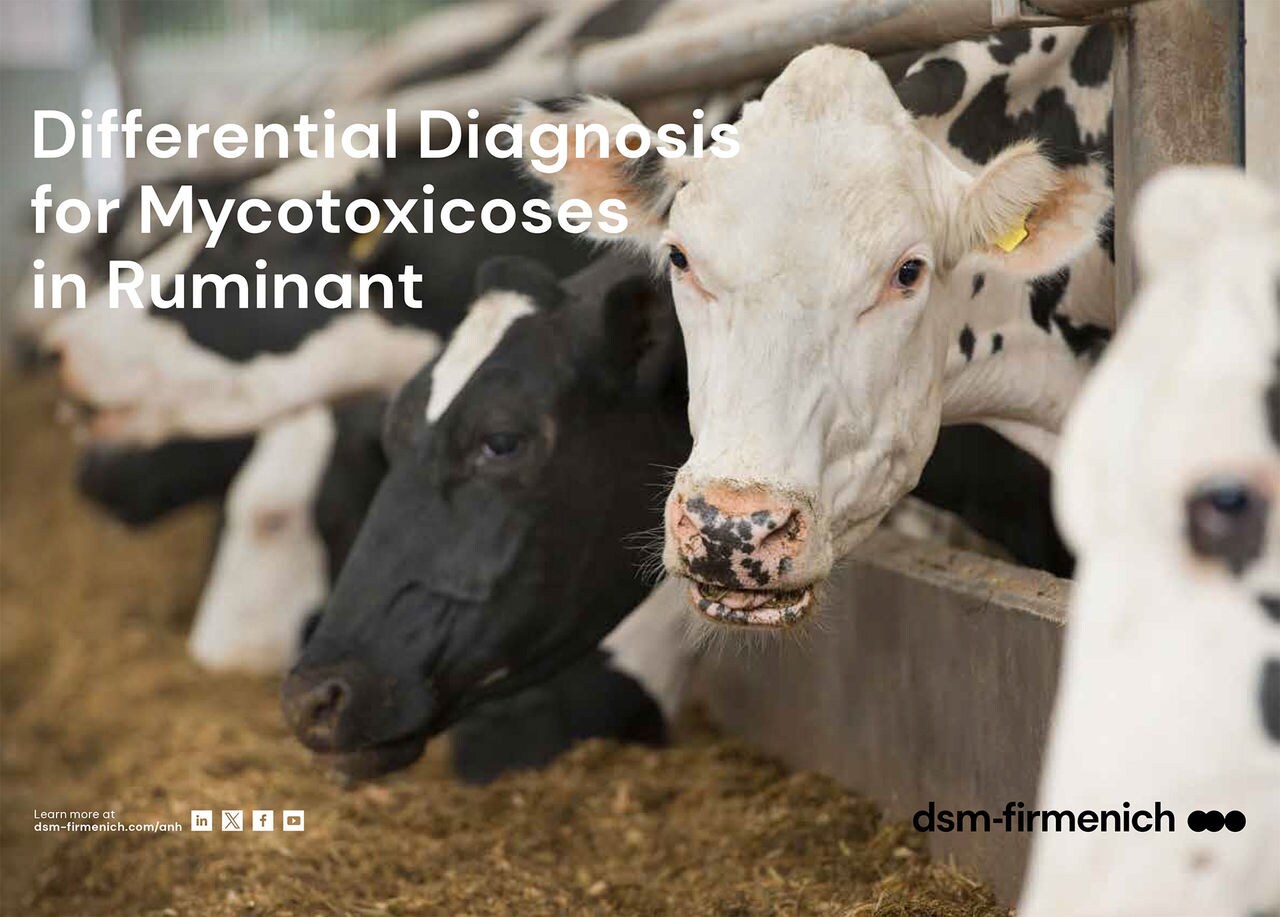 Differential Diagnosis for Mycotoxicoses in Ruminants PDF