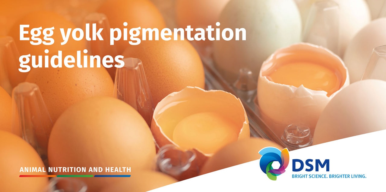 DSM Egg Yolk Pigmentation Guidelines PDF