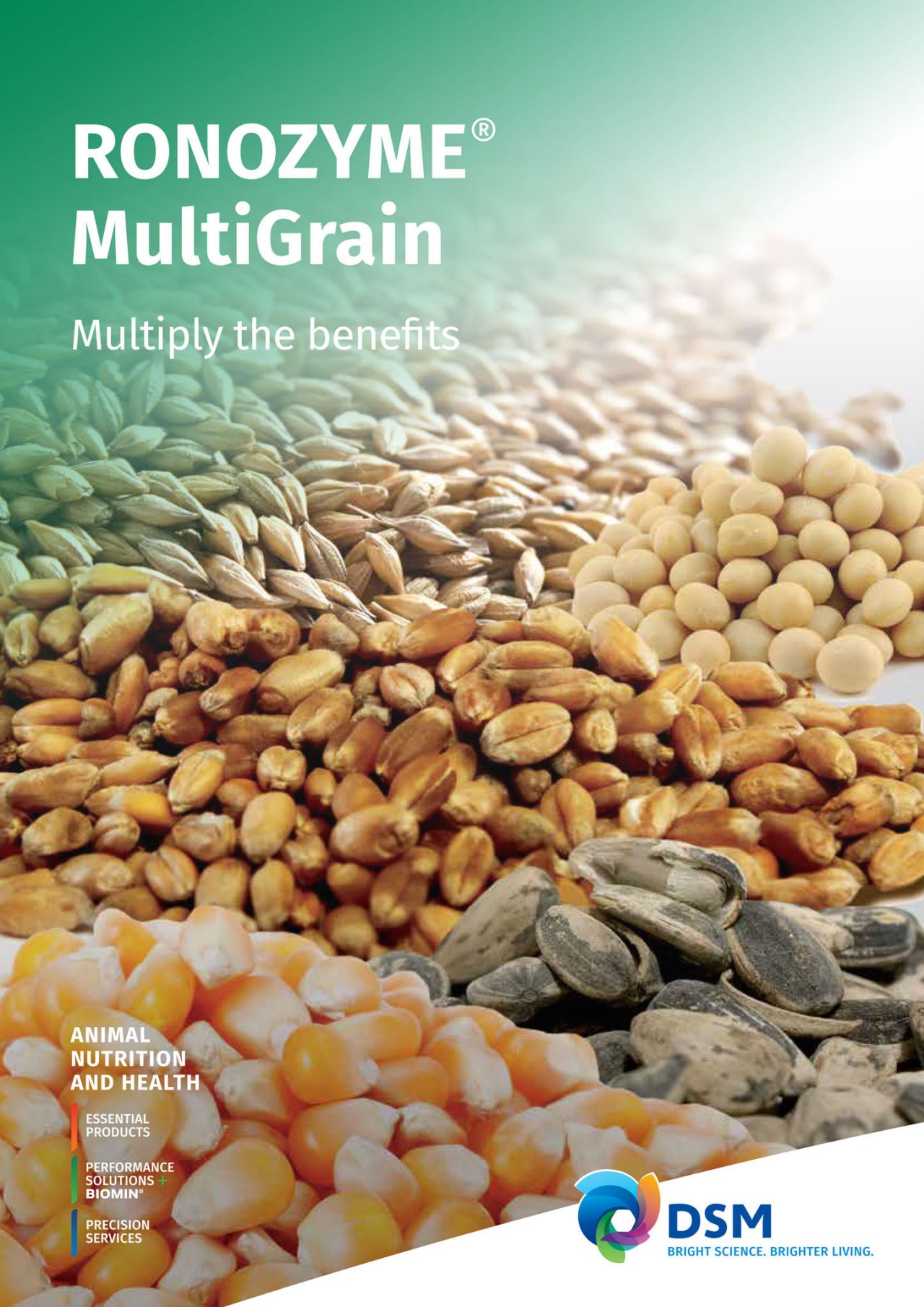 DSM RONOZYME® MultiGrain Brochure PDF