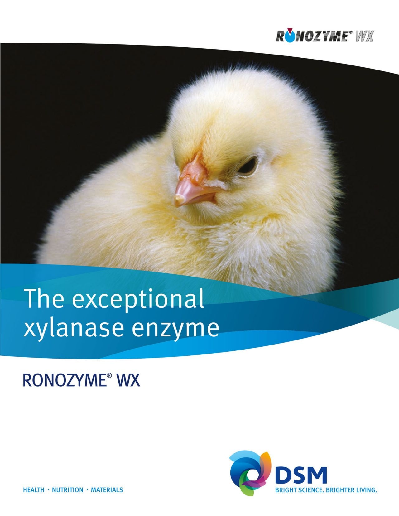 DSM RONOZYME® WX Brochure PDF