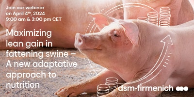 Webinar: Maximizing lean gain in fattening swine – A new adaptative approach nutrition