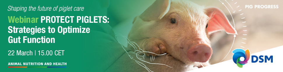 Webinar: Protect Piglets: Strategies to Optimize Gut Function
