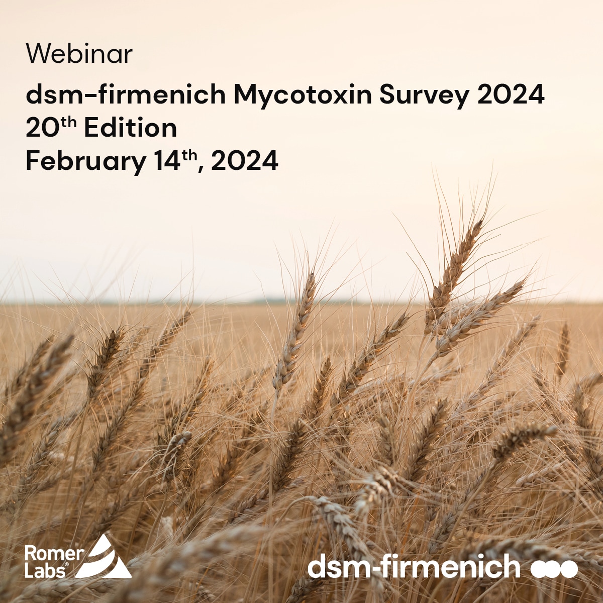 dsm-firmenich World Mycotoxin Survey 2024