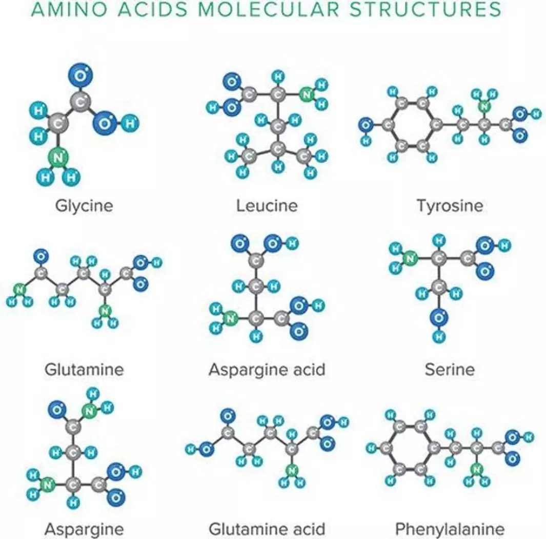 csm_3_AminoAcids_Alex_Doubovitsk