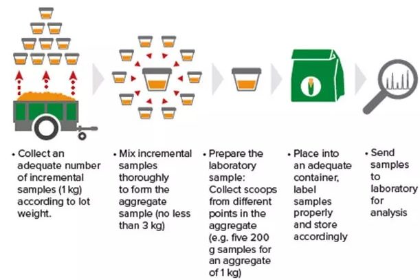 Figure3_-4-Reasons-Mycotoxins-ar