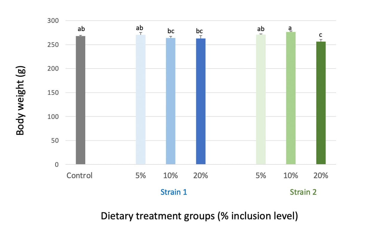 Figure 1.  The effect of single cell protein inclusion on the growth performance of rainbow trout. (Source: dsm-firmenich)