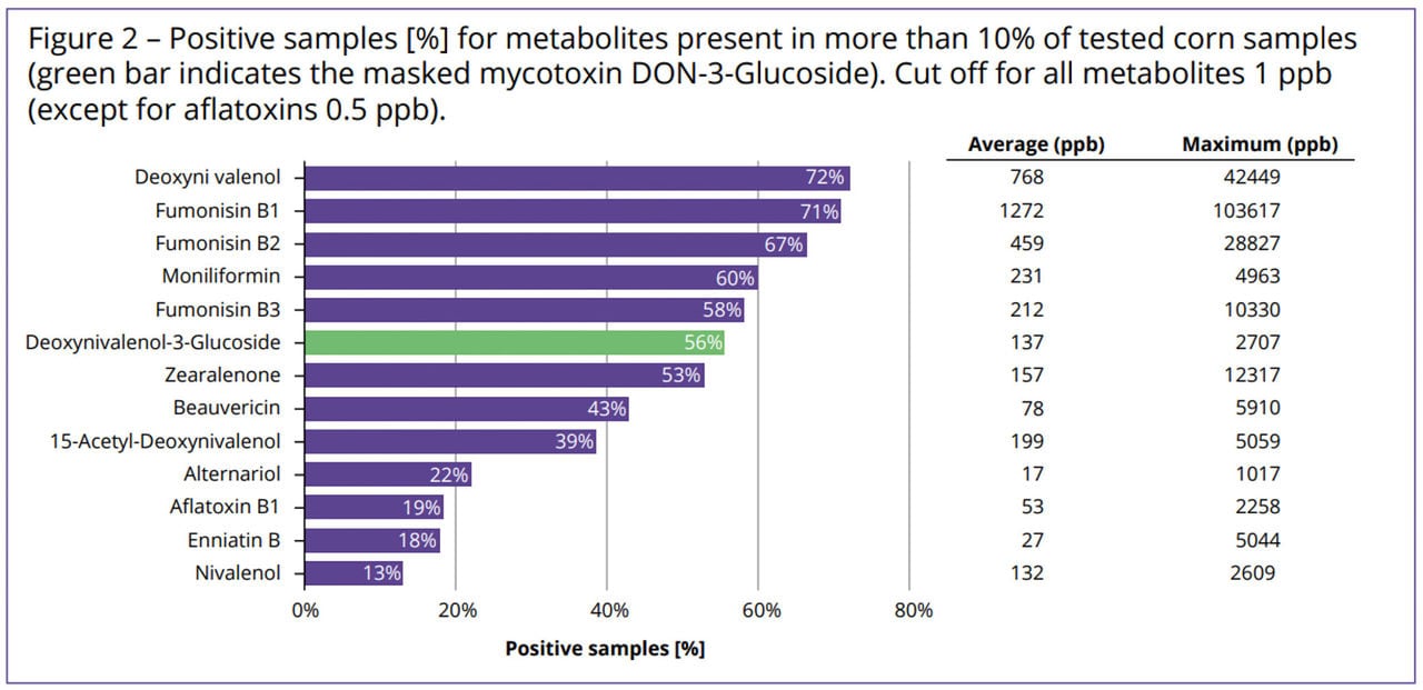 Figure 2 – Positive samples [%] for metabolites present in more than 10% of tested corn samples (green bar indicates the masked mycotoxin DON-3-Glucoside). Cut off for all metabolites 1 ppb (except for aflatoxins 0.5 ppb).
