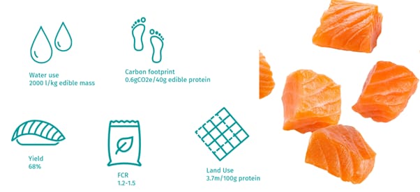 Farmed fish is one of the most eco-efficient and sustainable forms of protein 