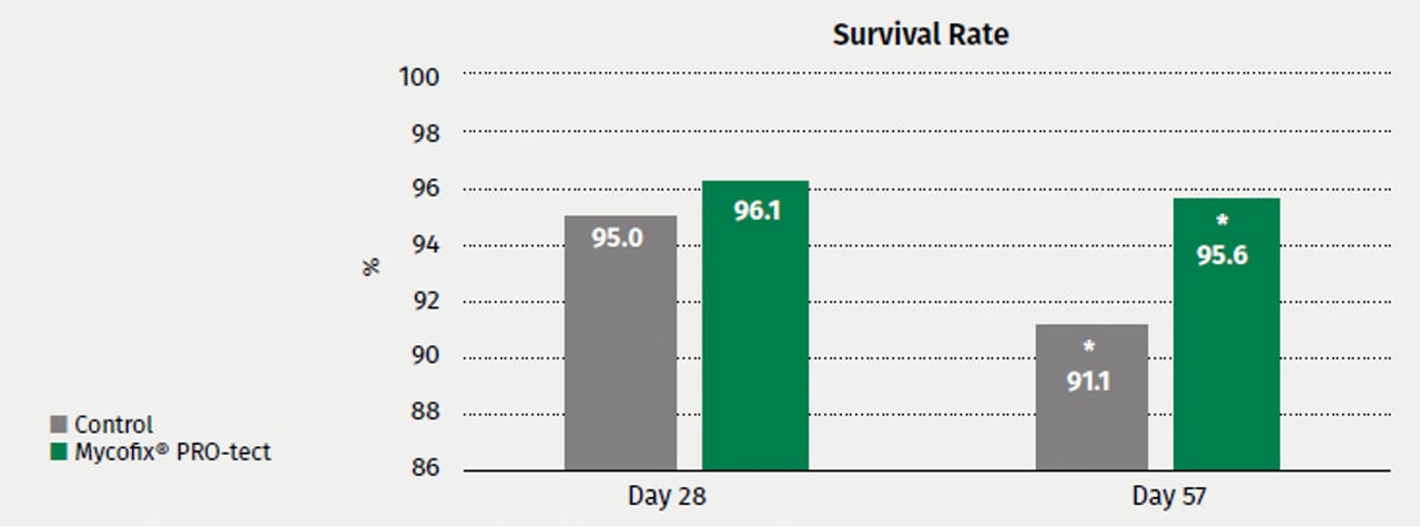 Fig 1a: Survival rate (%) determined after 28 and 57 days. Day 57 shows a significant improved survival rate in the group with Mycofix® PRO-tect compared to control group.