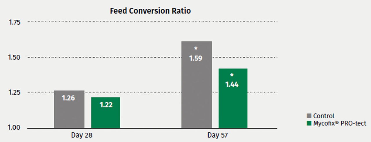 Fig 1b: FCR determined after 28 and 58 days. After 57 days, FCR was significantly improved in Mycofix® PRO-tect group.